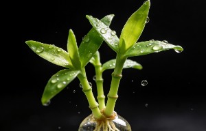 床头几两钱，床尾鬼来叫